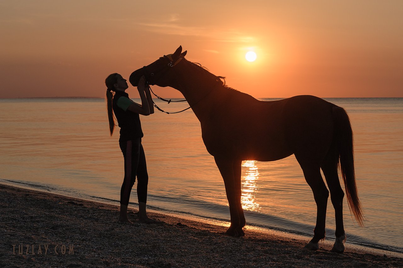 девушка и конь, лошади, азовское море, Владимир Тузлай