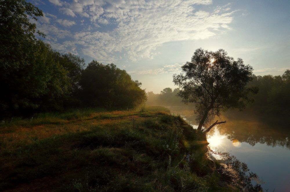 река донец лето утро туман изюм, Петриченко Валерий