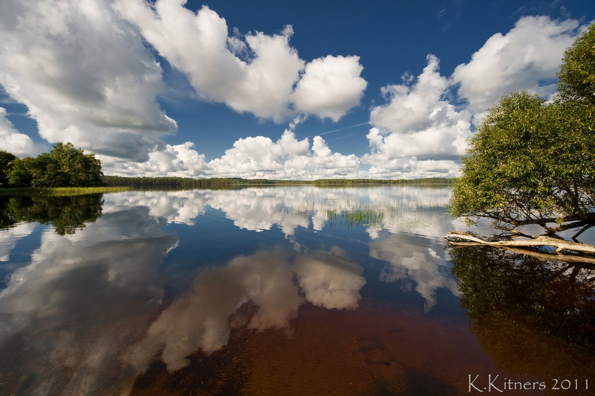 lake tree forest sky clouds water reflection summer latvia, Kristaps Kitners