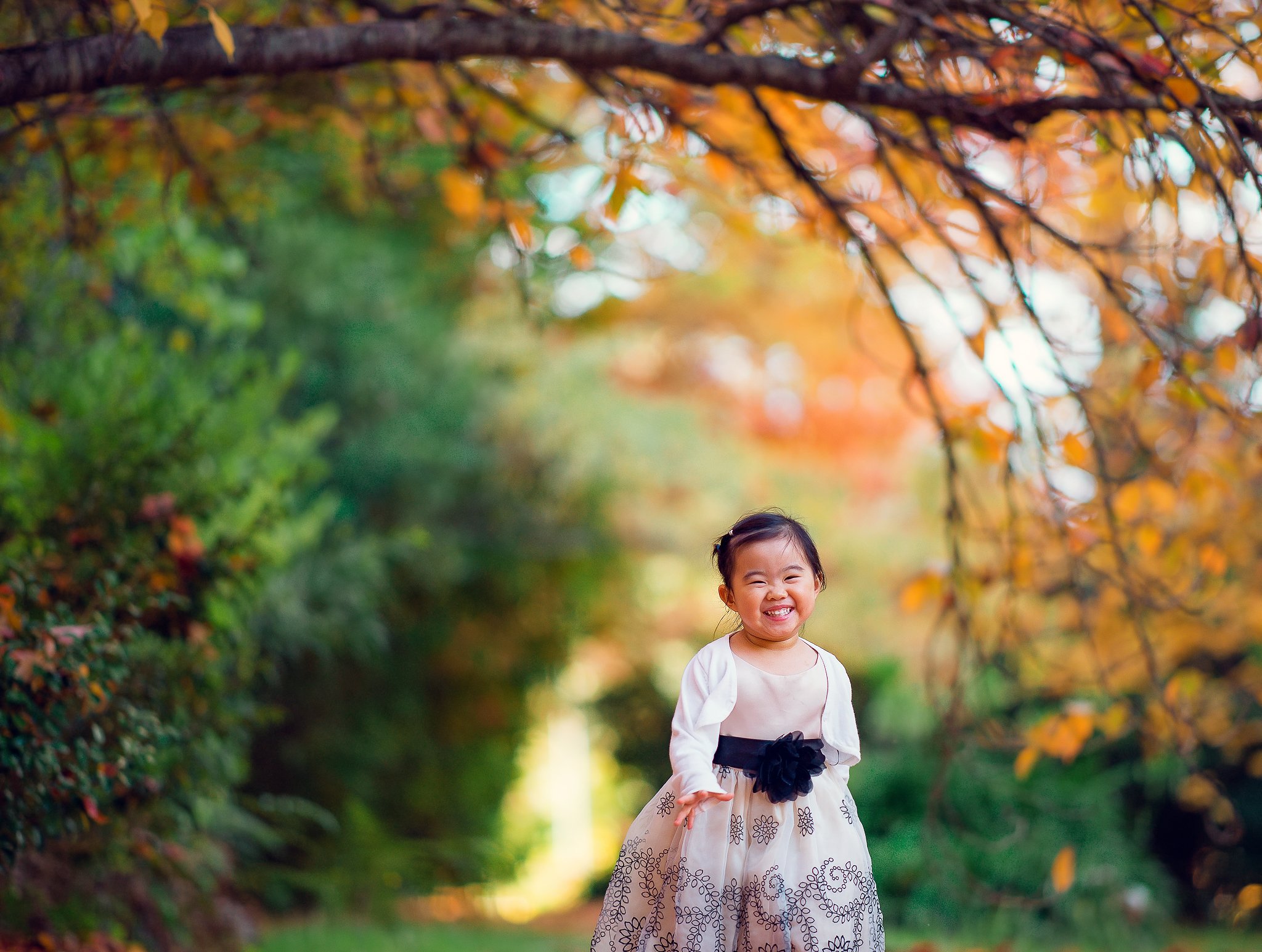 little girl, kid, daughter, autumn, colours, leaf, smile, childhood, run, child, Derek Zhang