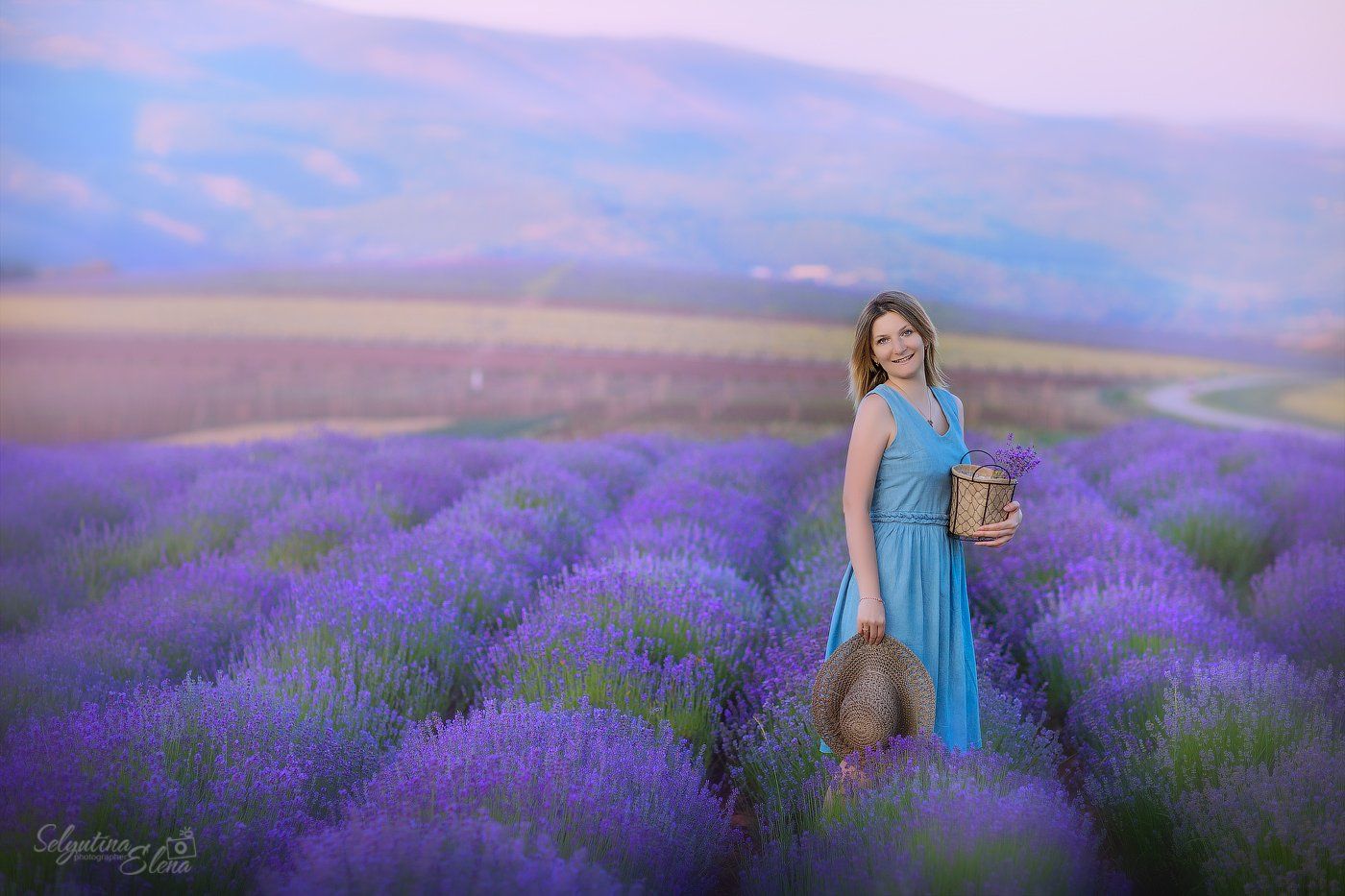 лаванда, лавандовое поле, lavender, Elena Selyutina