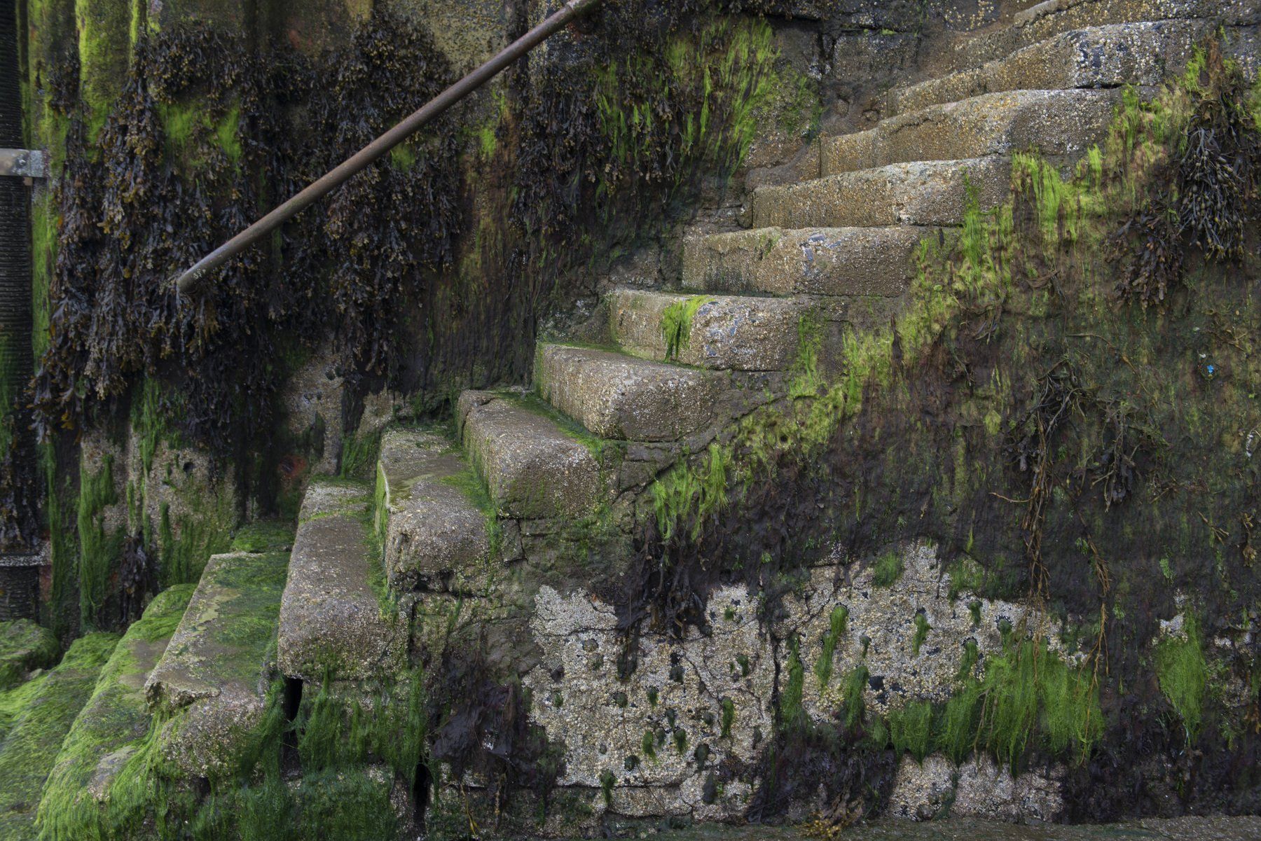 шотландия, Ирина