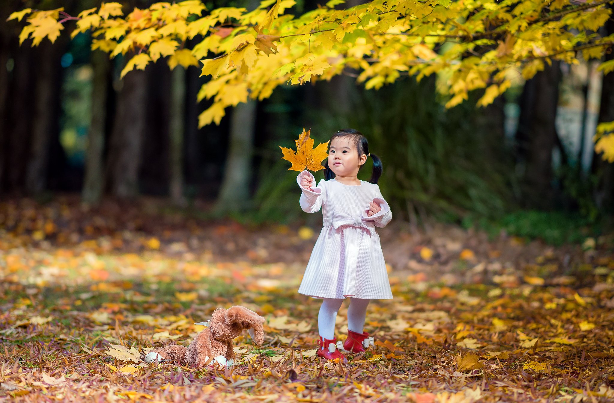kid, girl, natural light, autumn, kidsfoto, colour, leaf, childhood, love, Derek Zhang