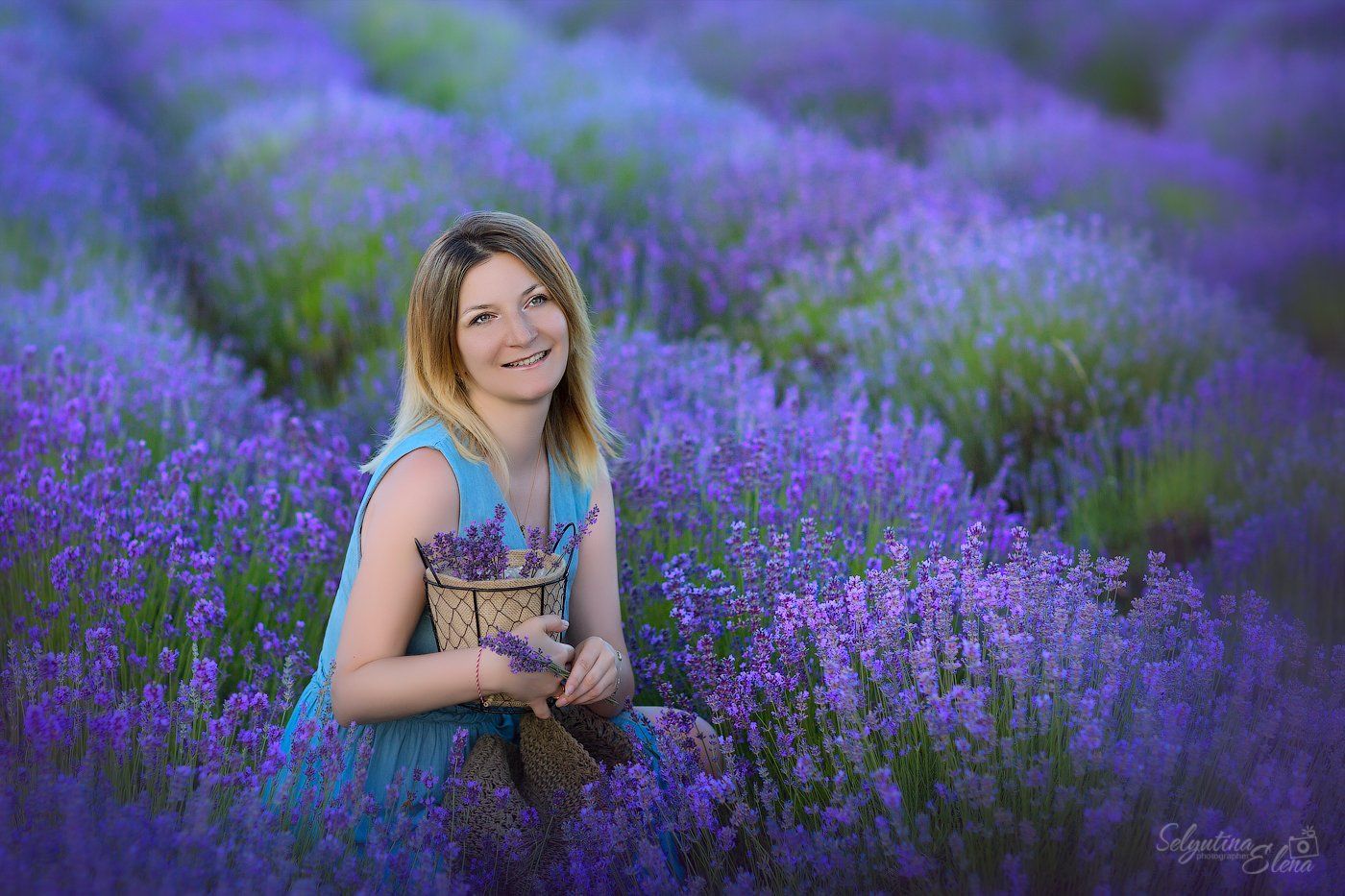 лаванда, лавандовое поле, lavender , Elena Selyutina