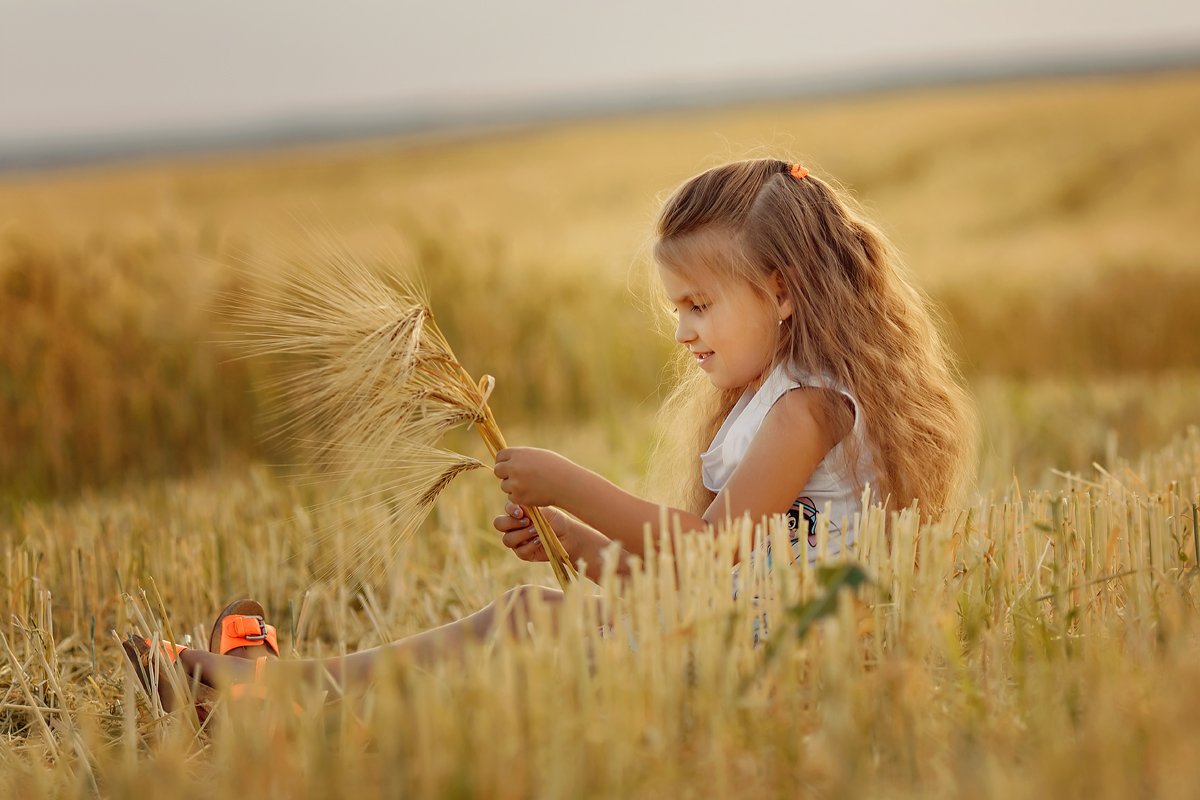 девочка колоски пшеница лето закат солнечный теплый семья радость, Марина Кондратова