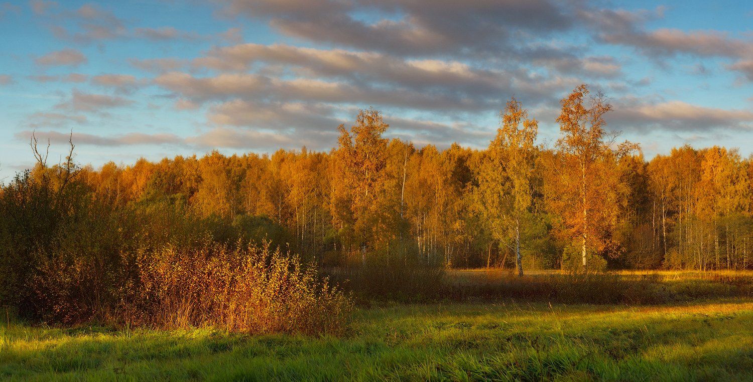 питер, осень, пушкин, царское, царское село, пейзаж, Таня SHE (Aiya)