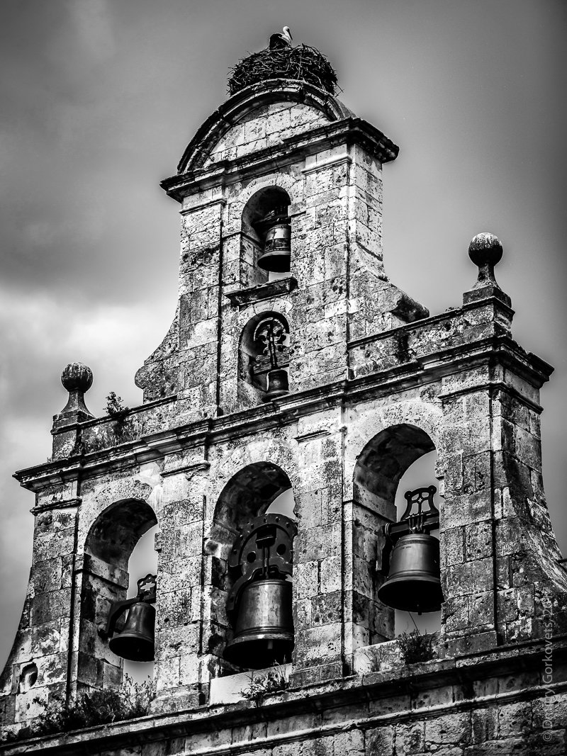 замок колокольня старина история колокола аичт птицы bird citadel castle bells stork nest city cityscapes travel photobydmitrygorkovets bw bnw blackandwhite bwphotography, Горковец Дмитрий