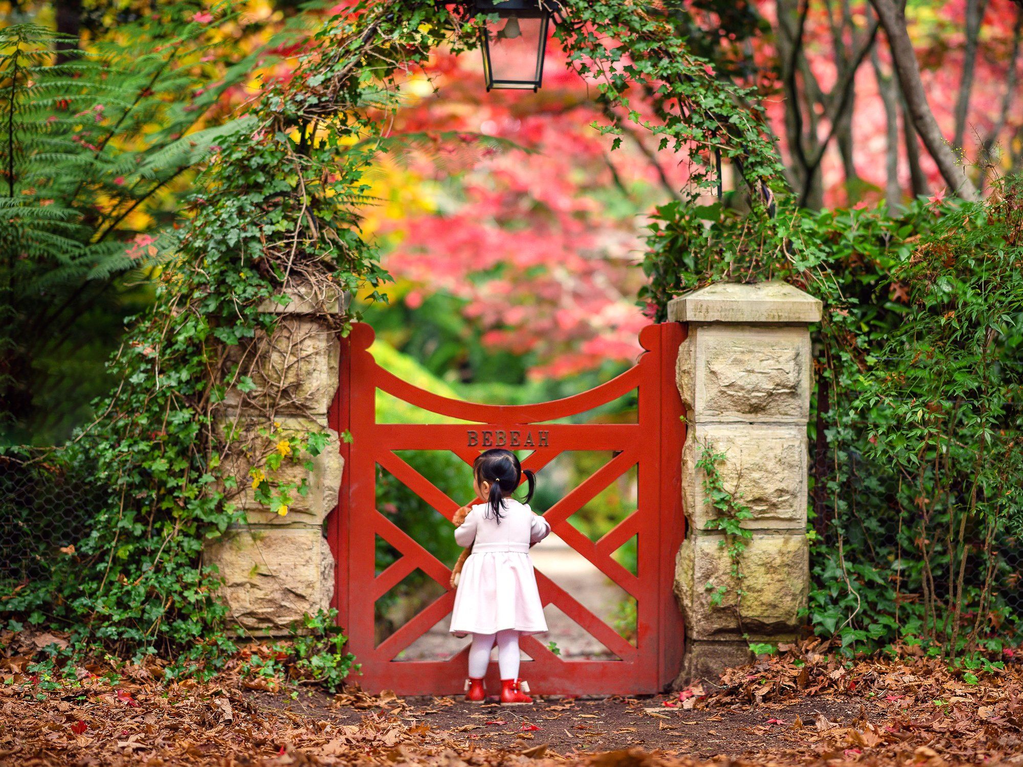 kid, child, girl, autumn, leaf, leaves, red, garden, nature                                                                                                                                                                                                    , Derek Zhang