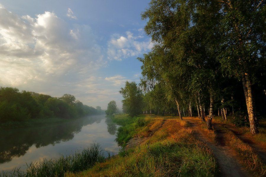 утро река изюм лето туман, Петриченко Валерий