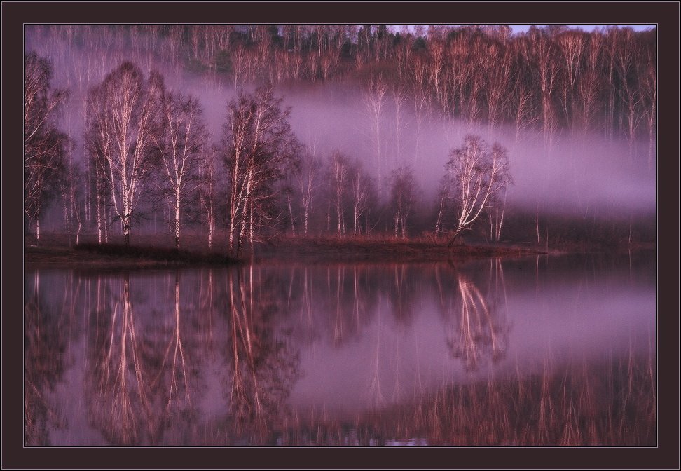 вечер, озеро, туман, розовый, Виталий из Н-ска