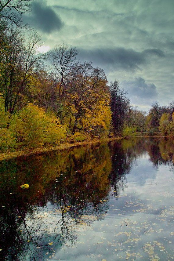 осень, андреевские пруды, Андрей Ерумов