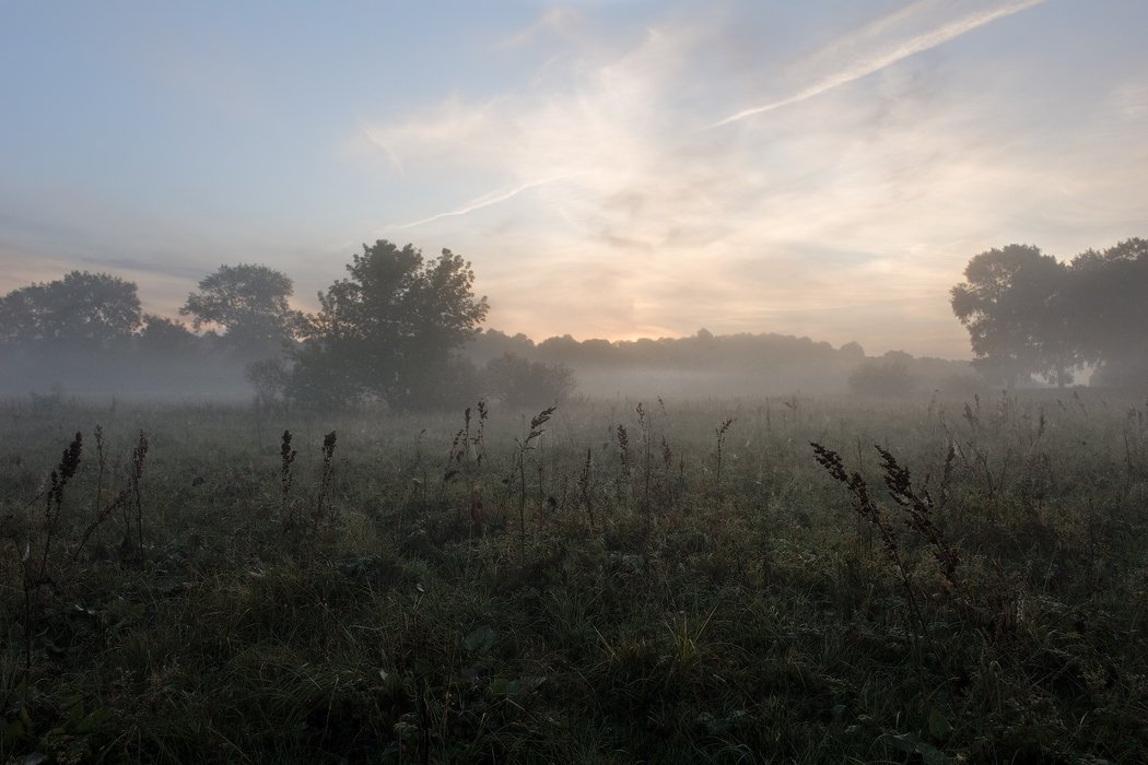 козлов артур, пейзаж, утро, луг, туман, рассвет, Kozlov Artur