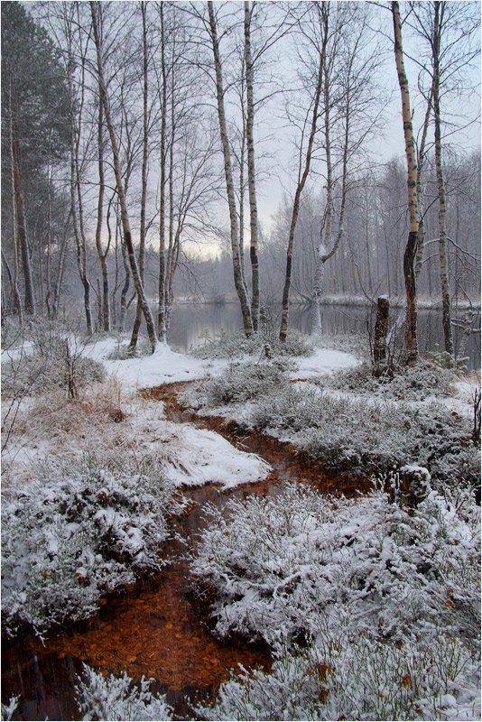 снег, осень, Илья Бармин