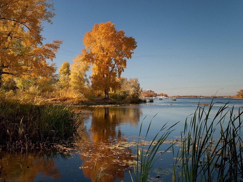 осень, золото, река, киев, днепр, Elena