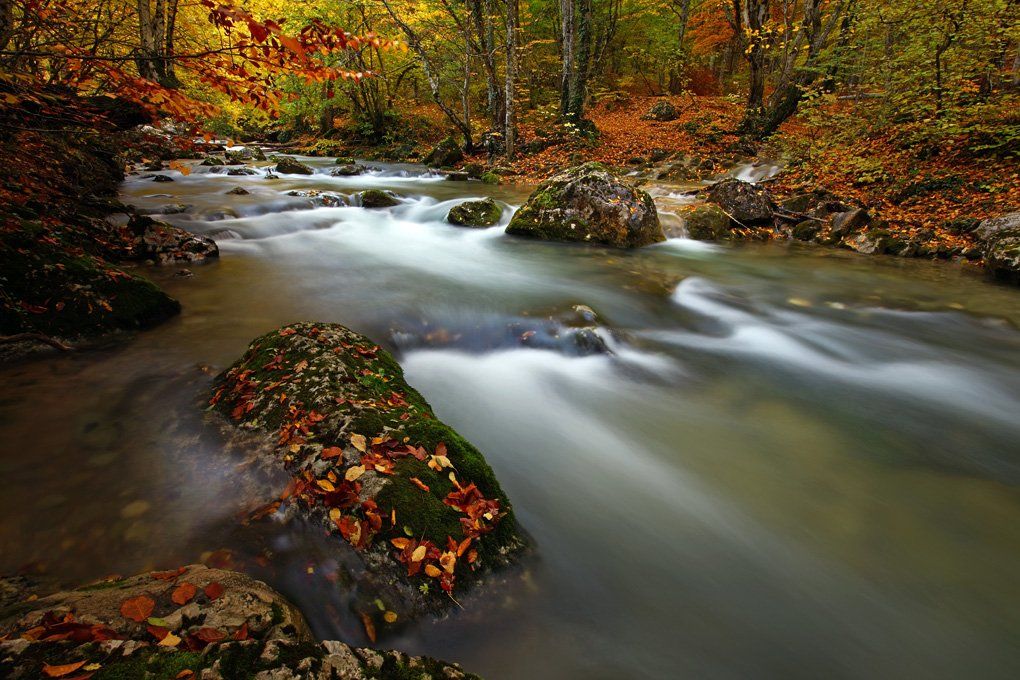 ручей, осень, вода, деревья, камни, пейзаж, природа, крым, течение,, Сергей Шульга