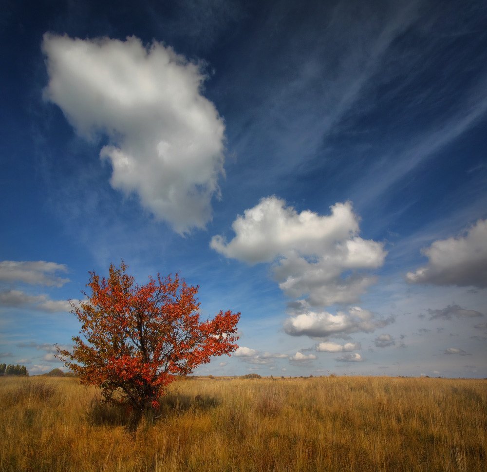 осень, октябрь, небо, облака, Петриченко Валерий