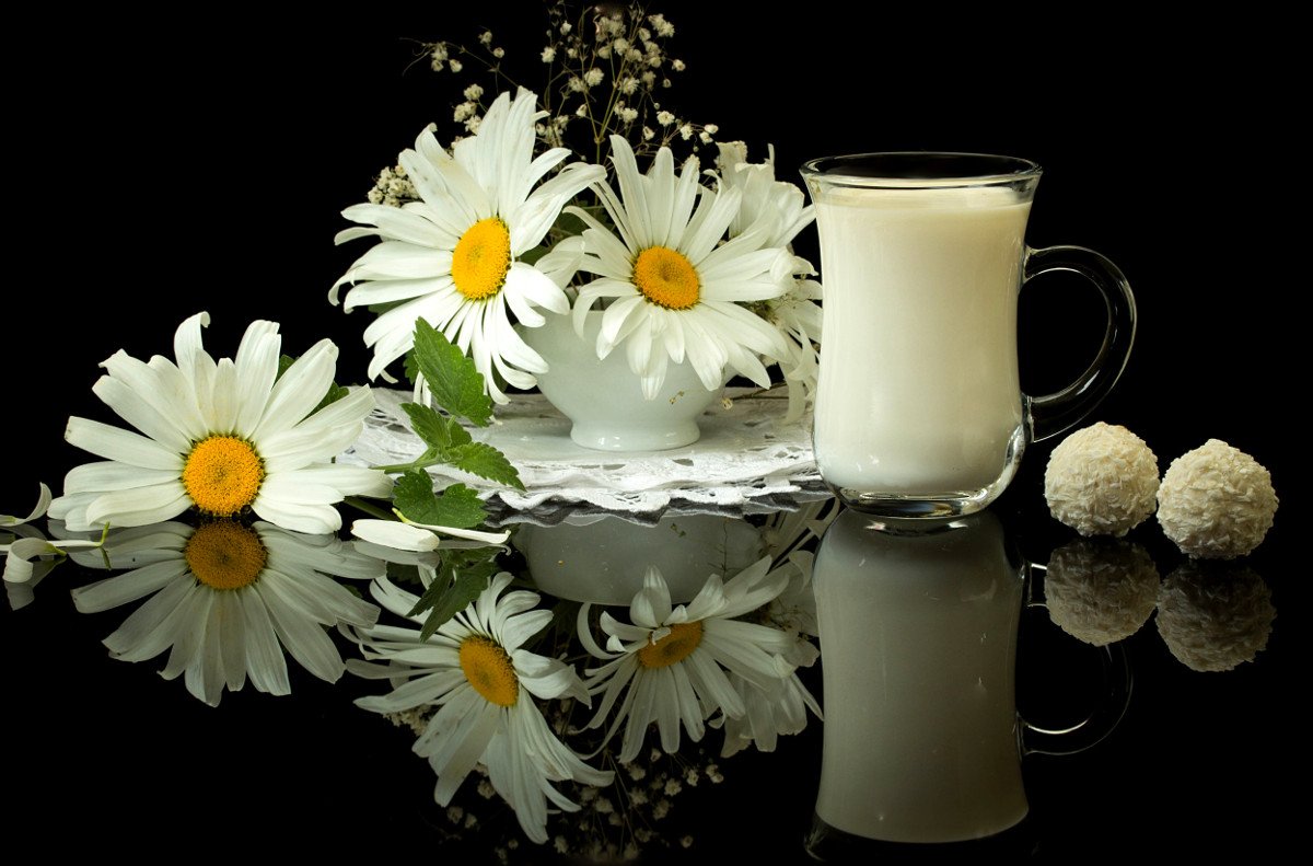 цветы, ромашки, молоко, конфеты, отражение, Шруб (Беляева) Татьяна