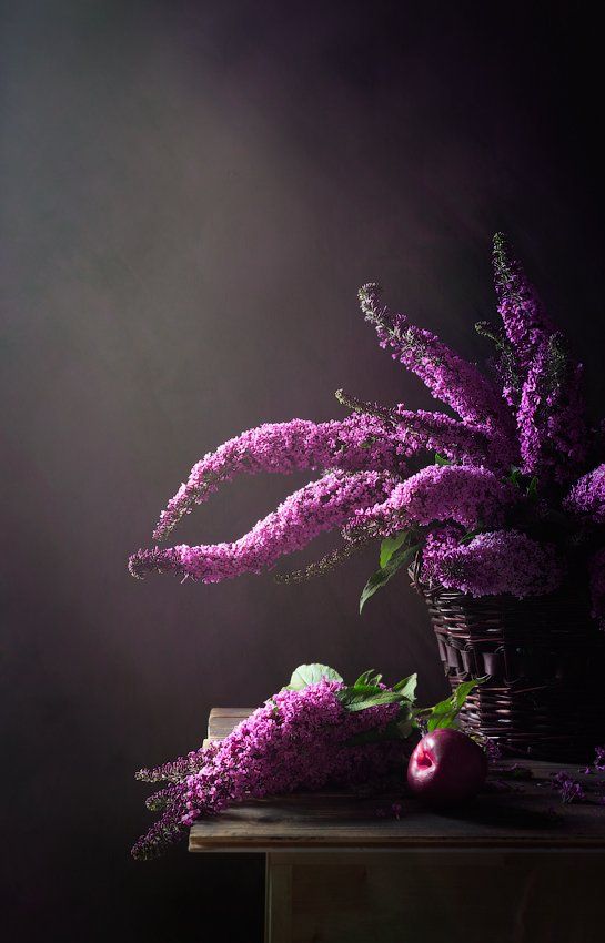 натюрморт, корзинка, гроздья цветов, плод, Anyuta Gillespie