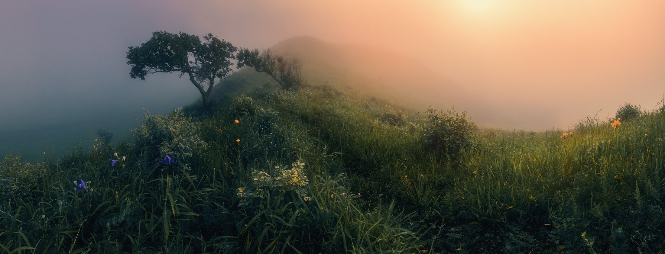 панорама, утро, туман, лето,, Андрей Кровлин