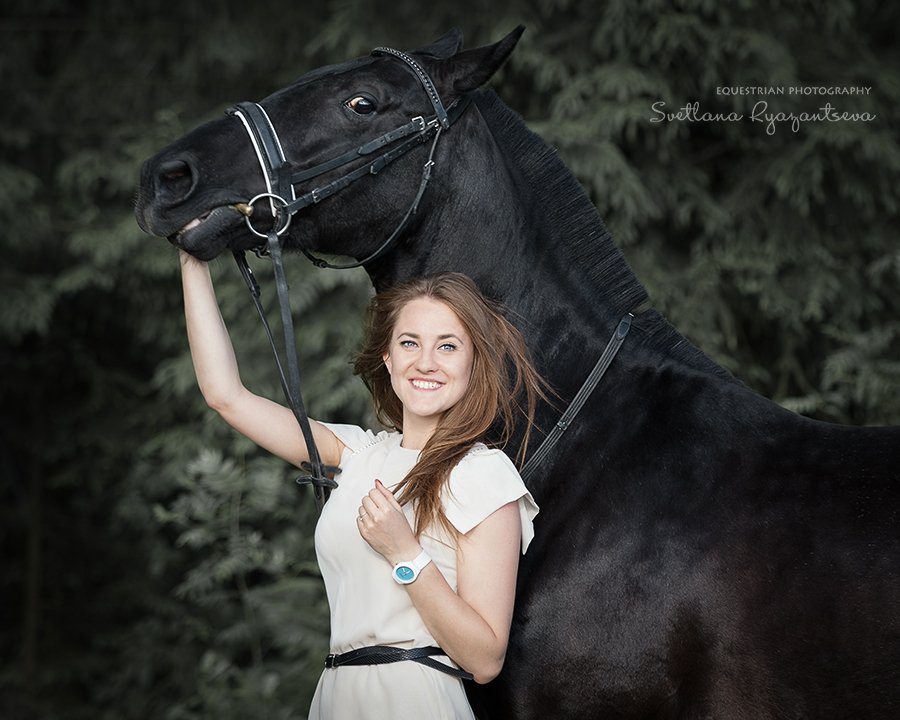 horse, portrait, портрет, лошадь, лошади, black, Svetlana Ryazantseva