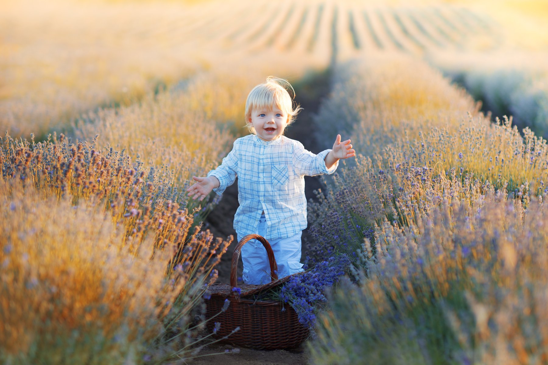 , Елена Шутяк