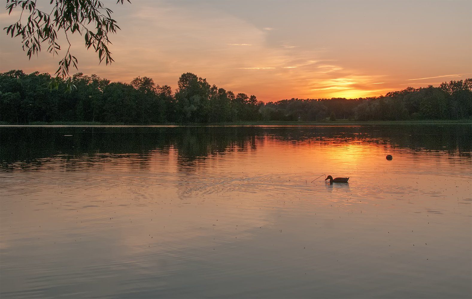 sunset,lake, Daiva Cirtautė