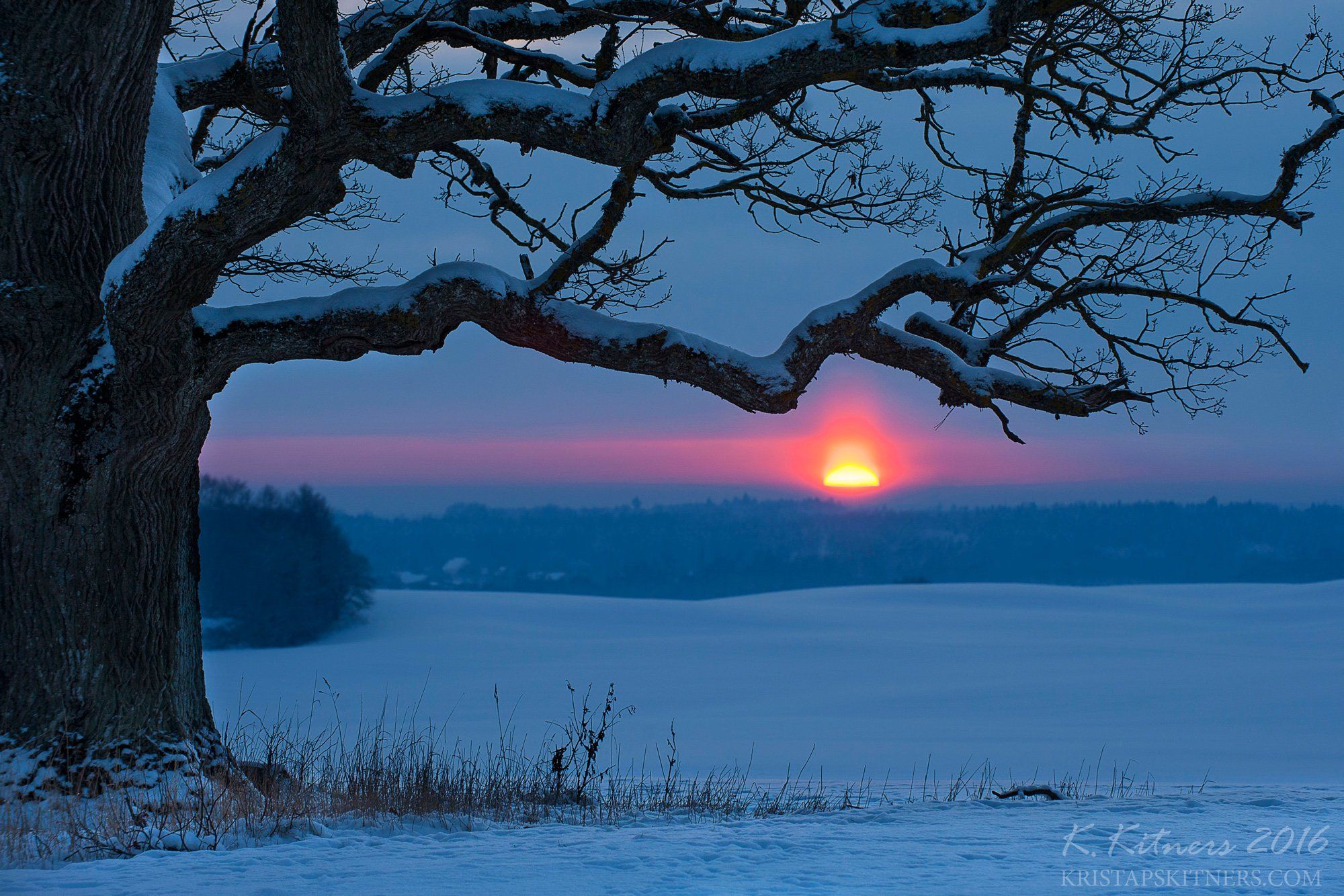 snow oak tree blue white winter sky clouds latvia landscape field sun sunset cold, Kristaps Kitners