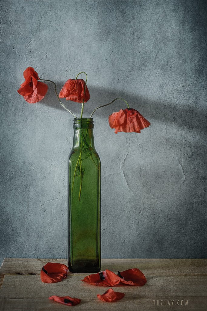 мак, красный цветок, маки, лето в бутылке, Владимир Тузлай