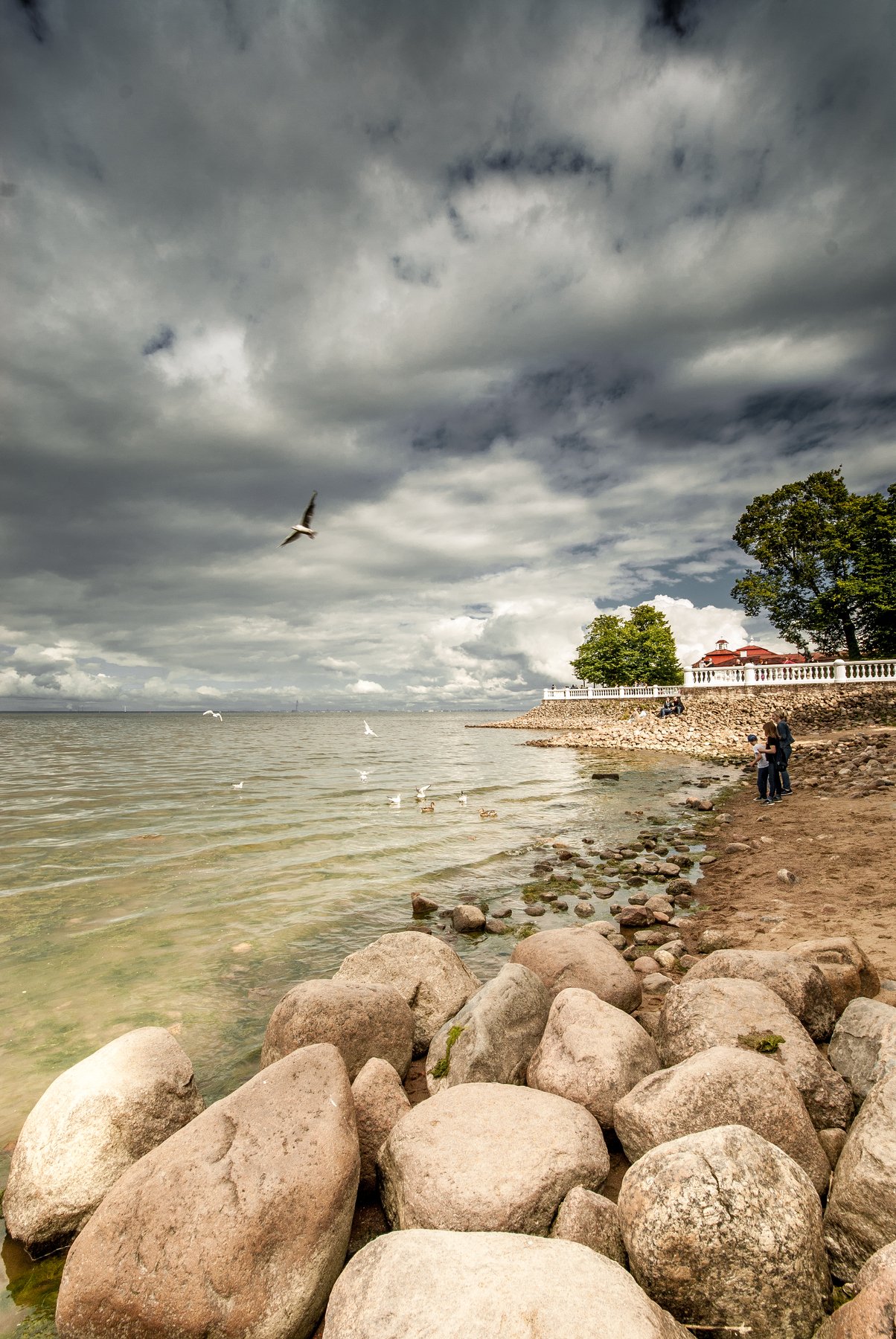пейзаж питер россия пляж птицы птица люди небо облака облако камни, Константин Агальцов