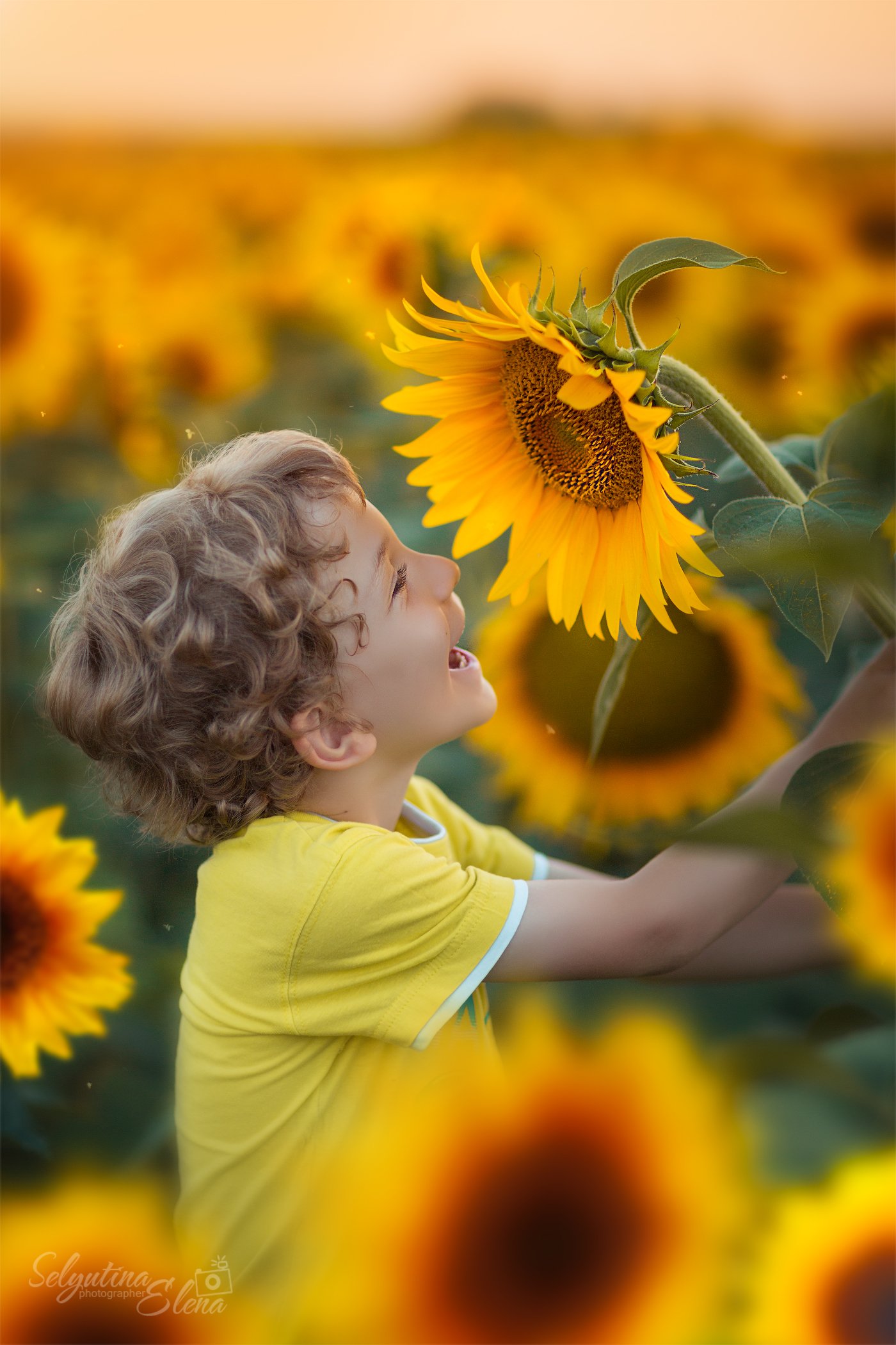 подсолнух, детское фото, детский фотограф, поля подсолнухов, sunflower, sunflowers field, children photography, Elena Selyutina