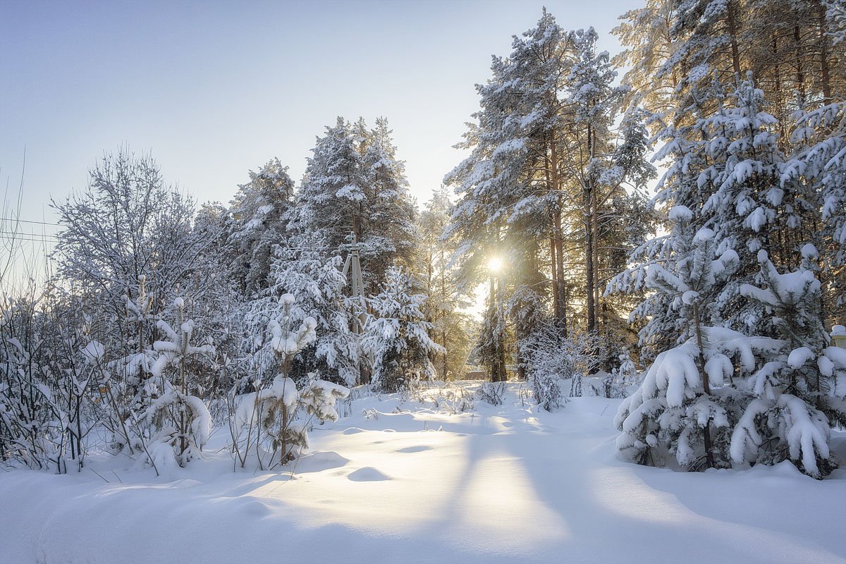 зима, снег, солнце, закат, сугробы, мороз, деревья, Пушкарев Николай