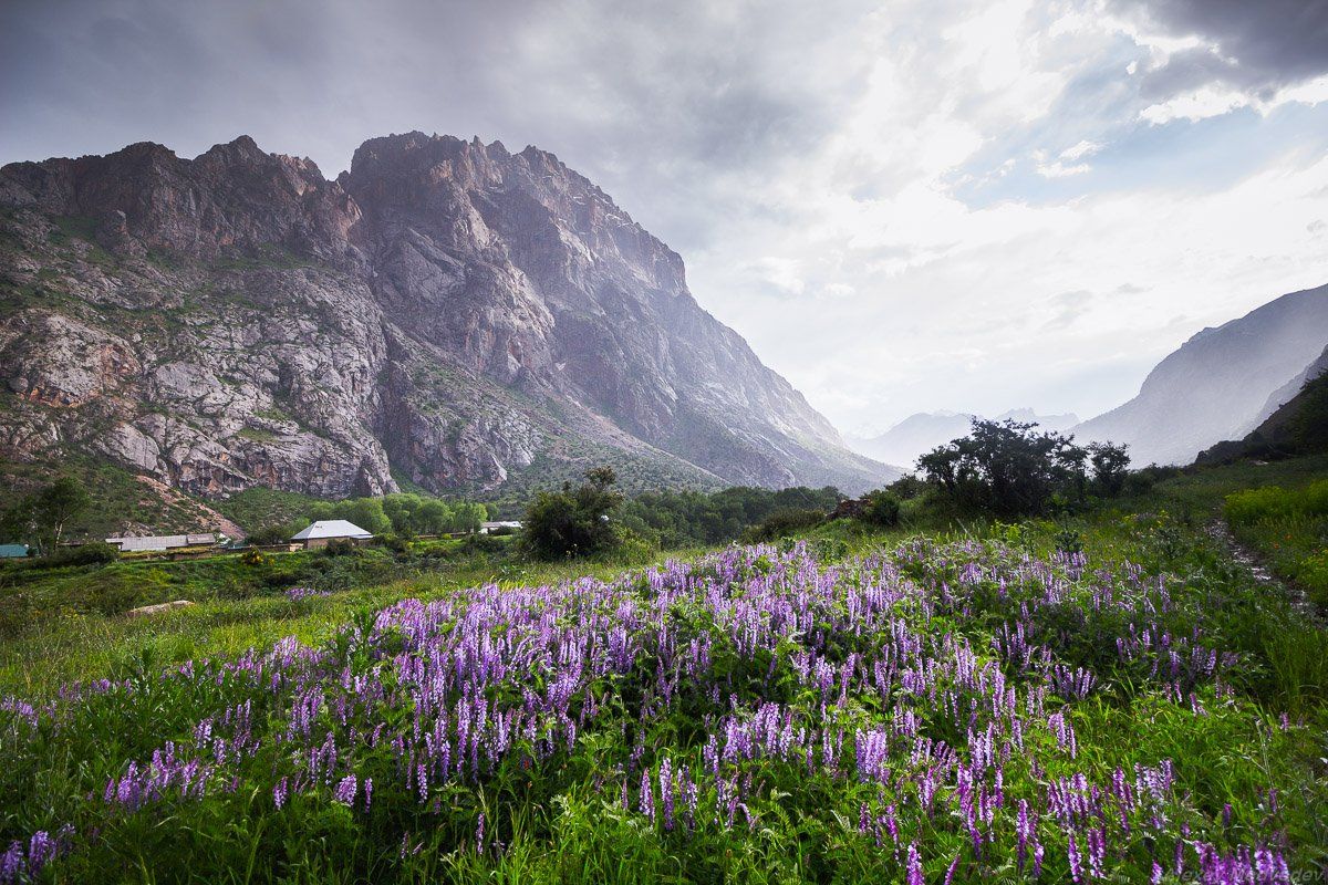  	горы, Таджикистан, фаны	, Алексей Медведев