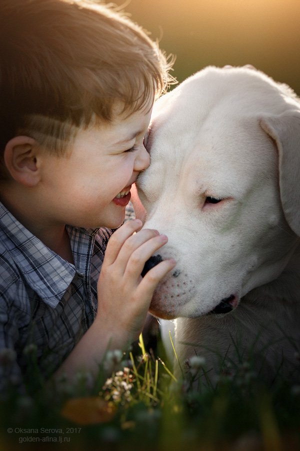 лучшие друзья, собака, ребенок, доверие, непосредственность, мальчик, друг, дружба, Оксана Серова