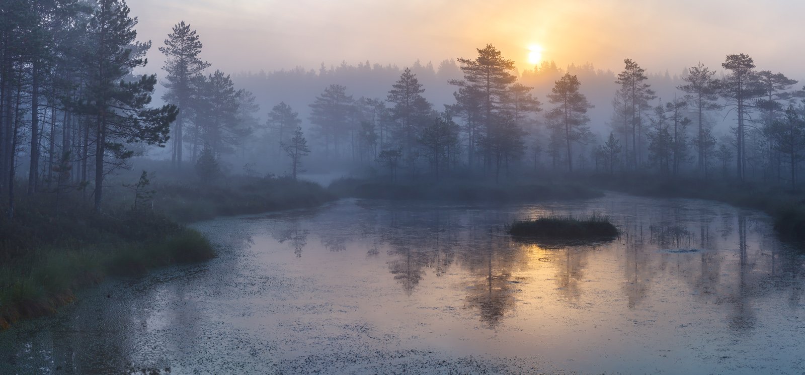 Пейзажи Ленинградской области, природа Ленобласти, болото, топи, болотный дух, туман на болоте , Арсений Кашкаров