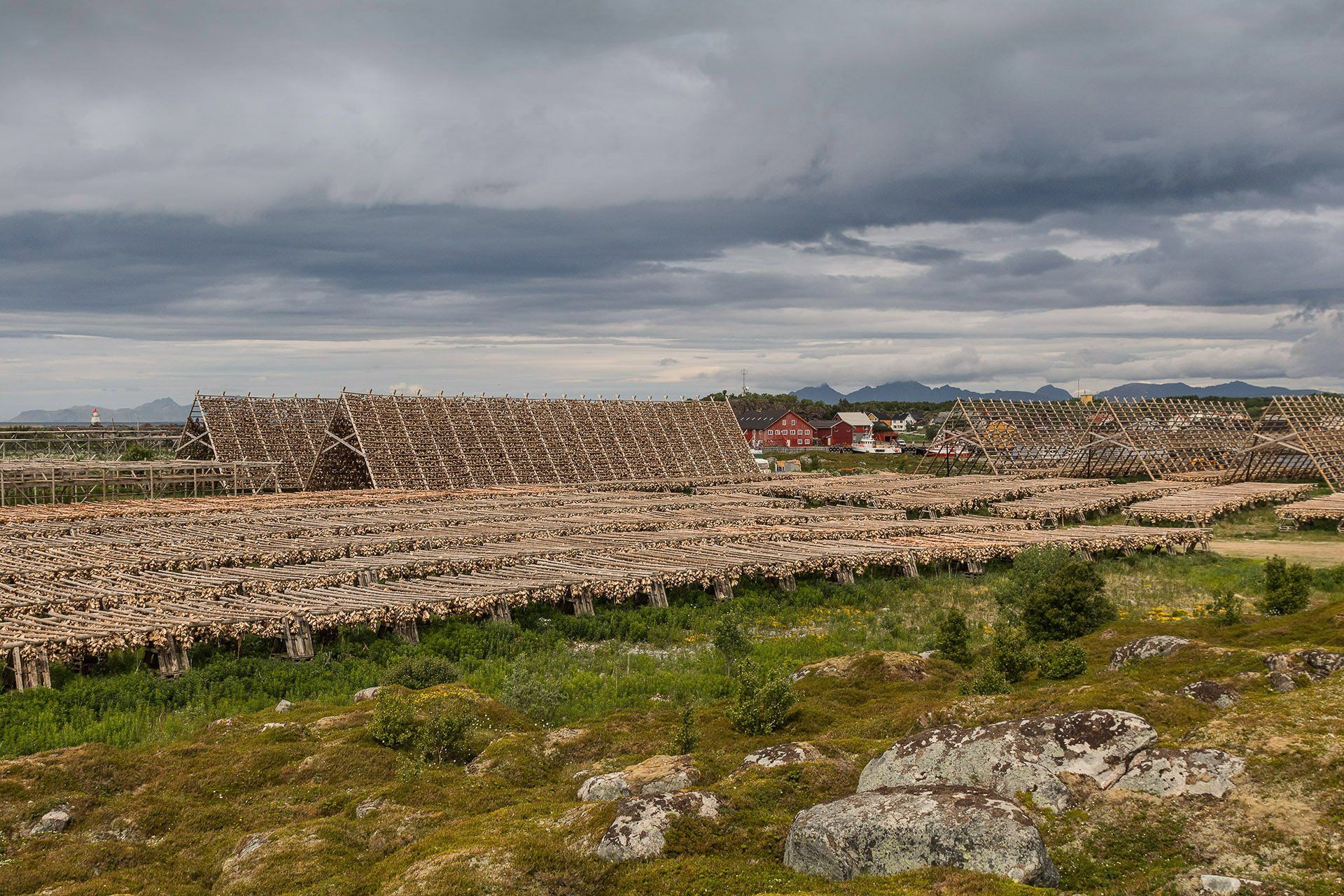 norway, lofoten,, Anna