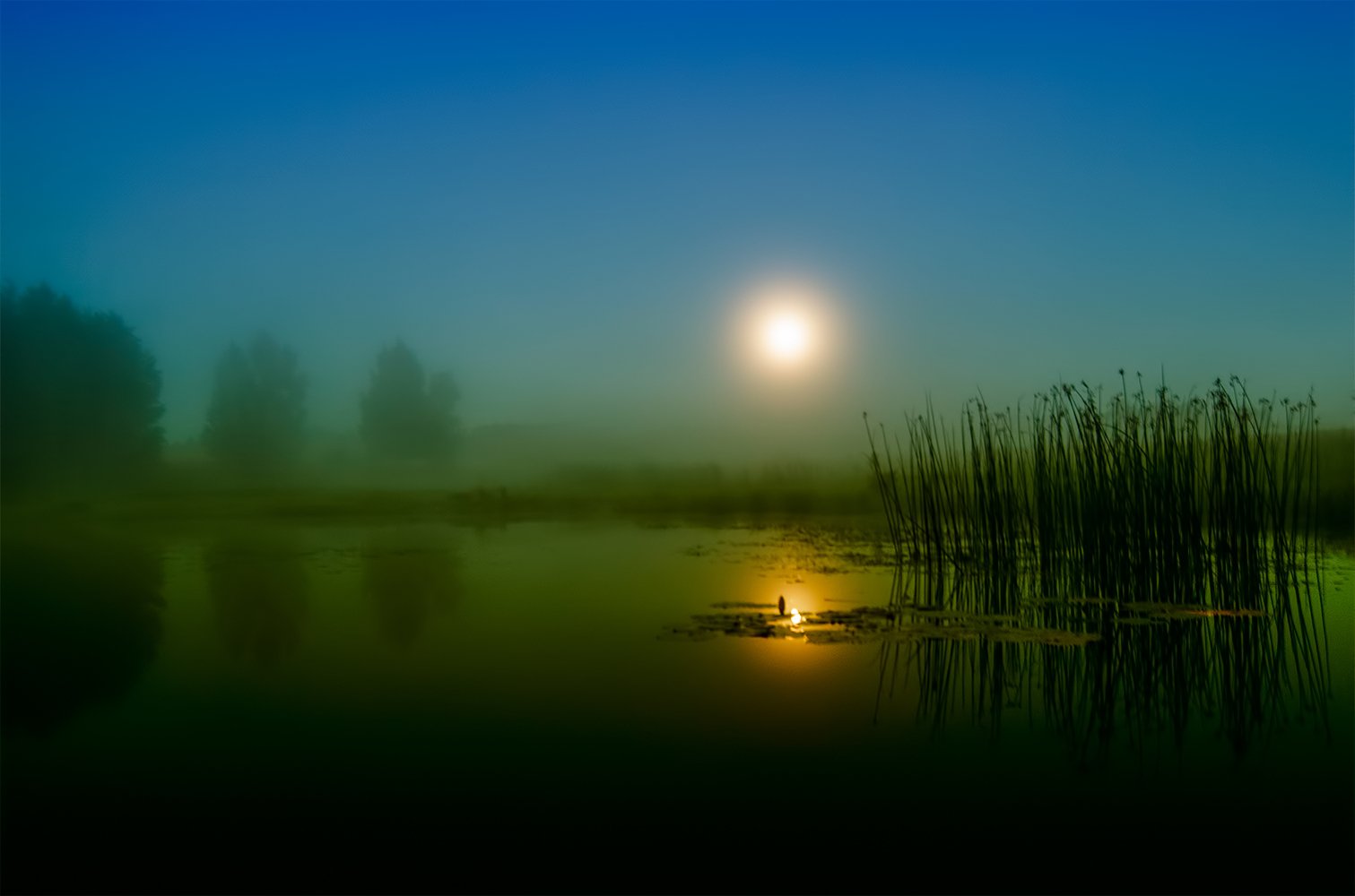 dawn,moonlight,reflaction, Daiva Cirtautė