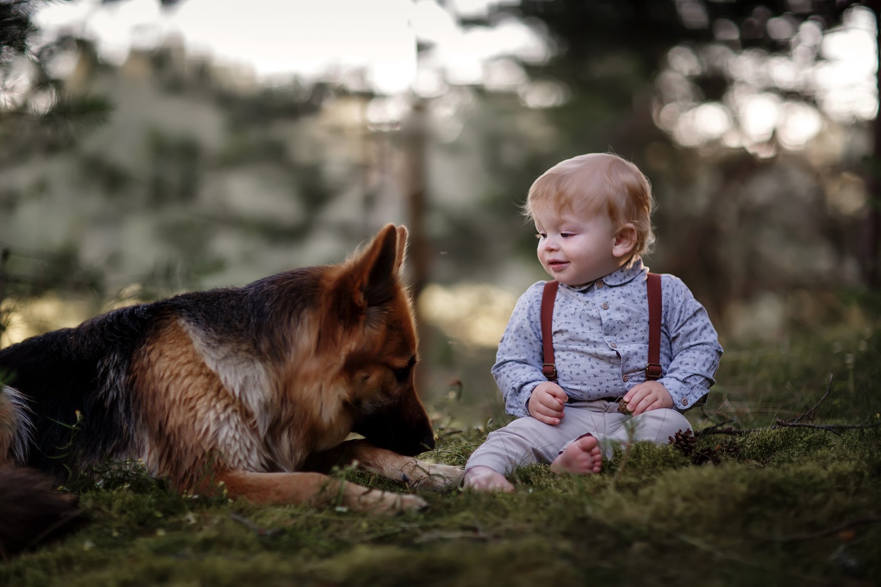 малыш, собака, фото на природе, фотография с собакой, фотография с животным, Светлана Новожилова