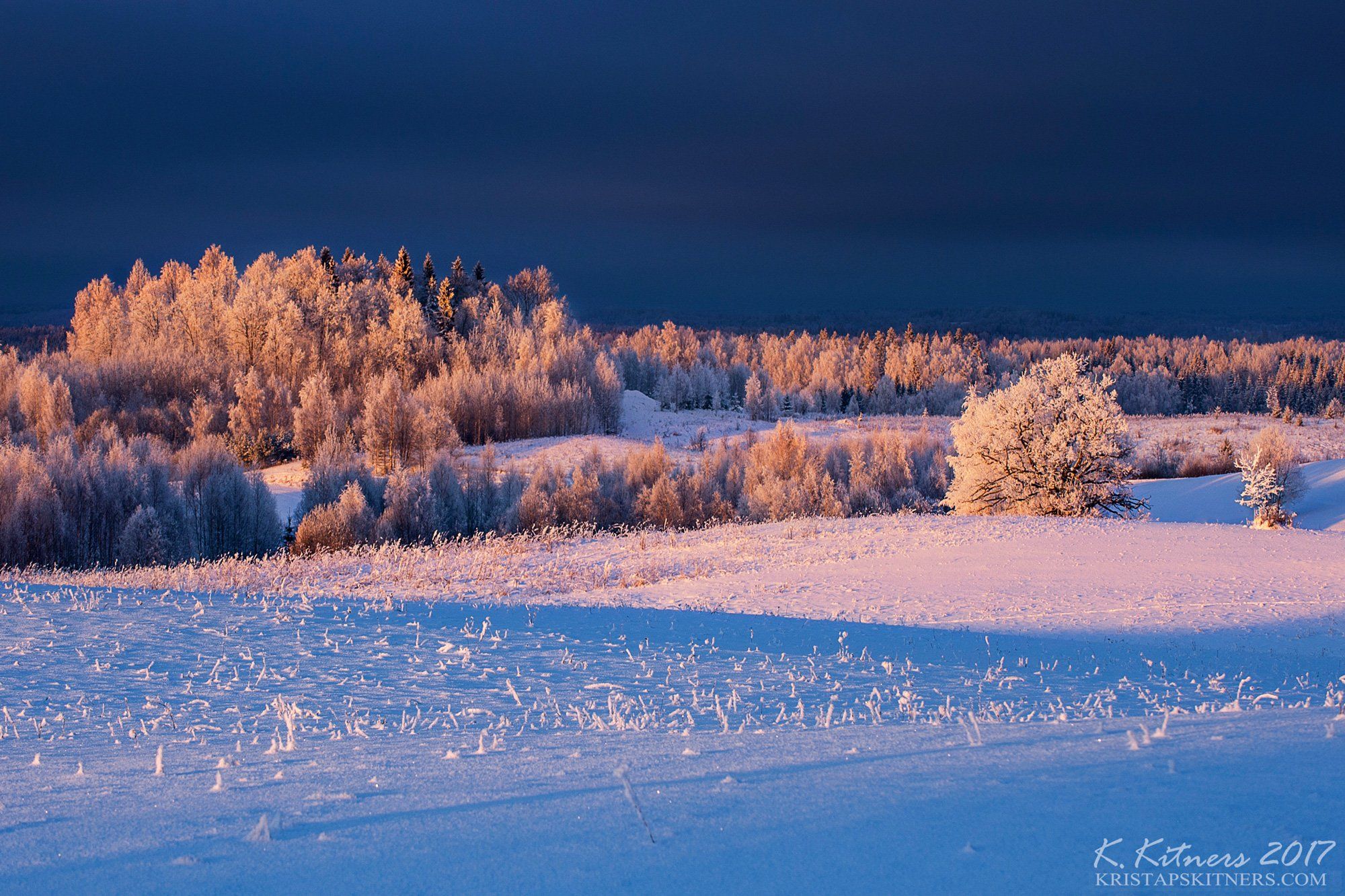 snow oak forest tree blue white winter sky clouds latvia landscape field sun sunset cold, Kristaps Kitners