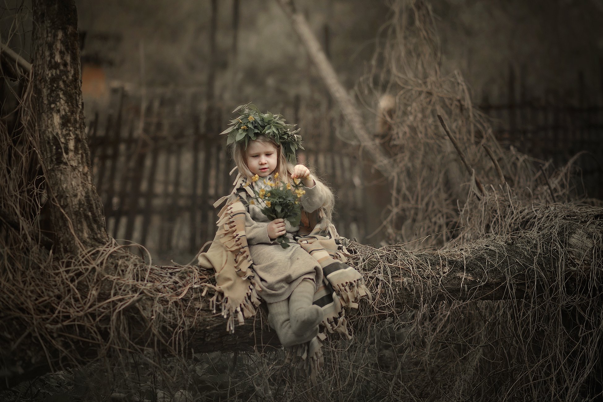 эльф лес тон тонировка коричневый бежевый девочка дерево, Липатова Анна