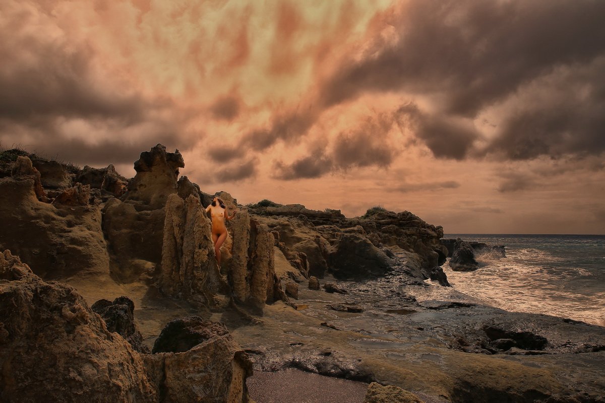 fossil, fossil forest, sea, clouds, rock, stone, stoned trees,, Dieter Kittel