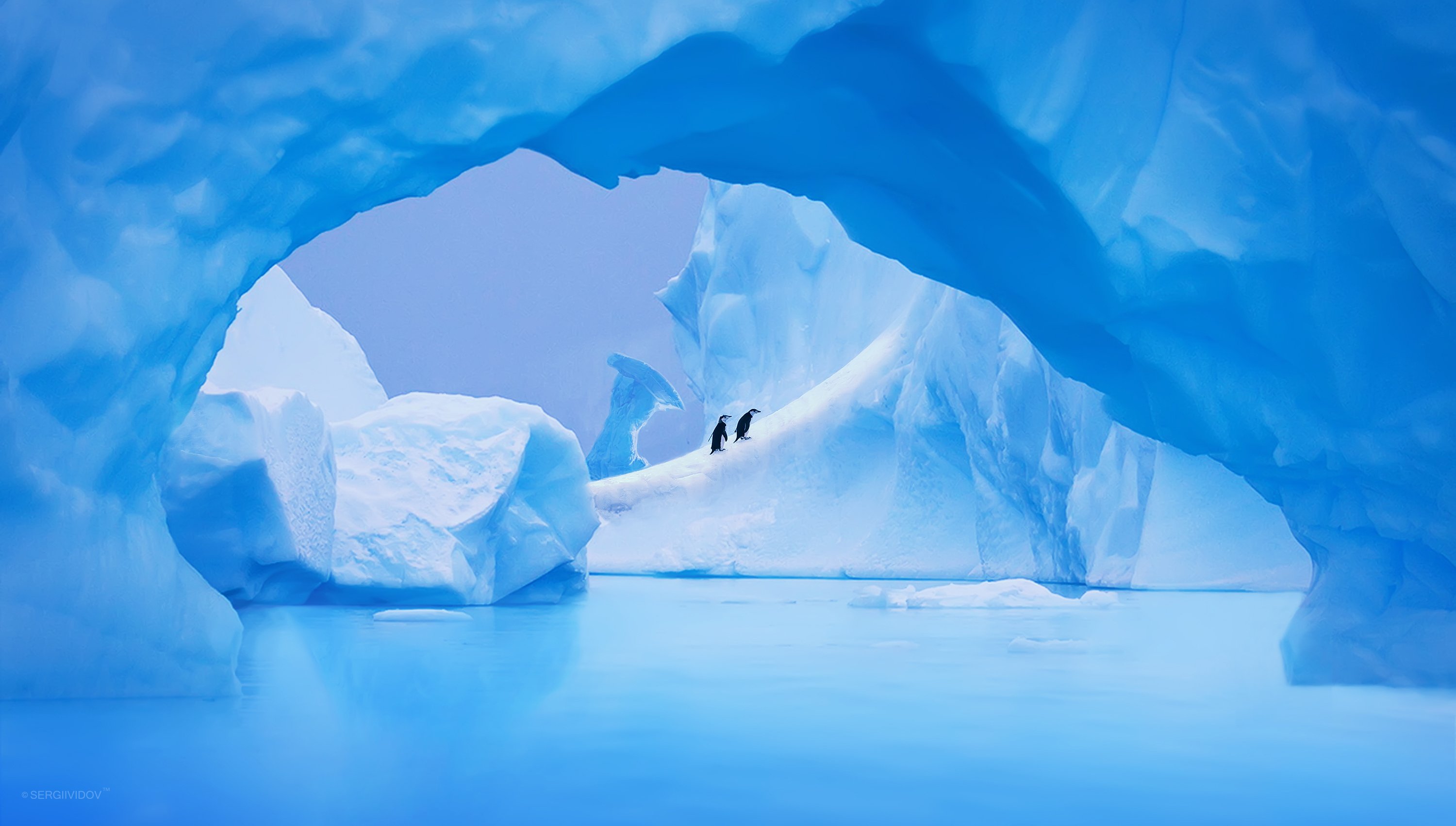 пингвины, айсберг, лед, пейзаж, Sergii Vidov