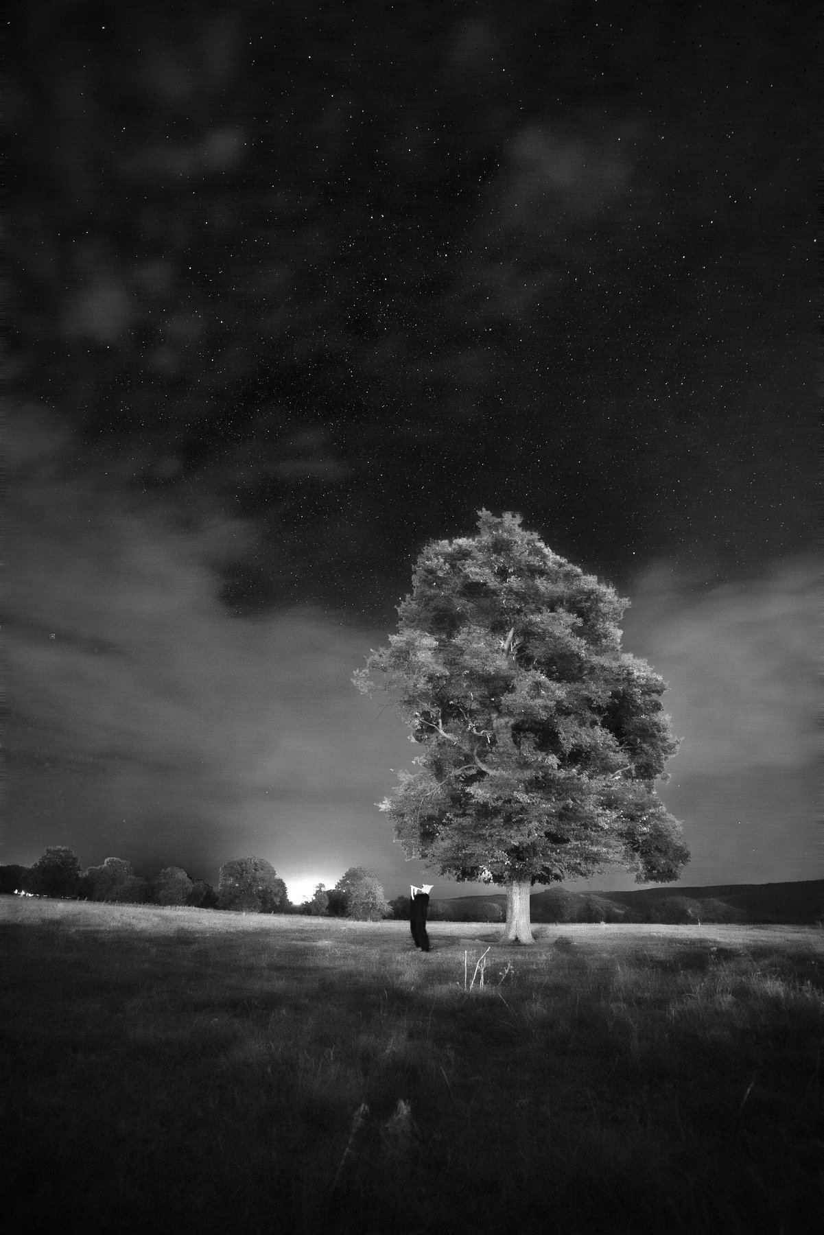 nightscapes, tree, celtic, fairytales, elf, forest, BnW, black and white, cloudy, Даниел Балъков