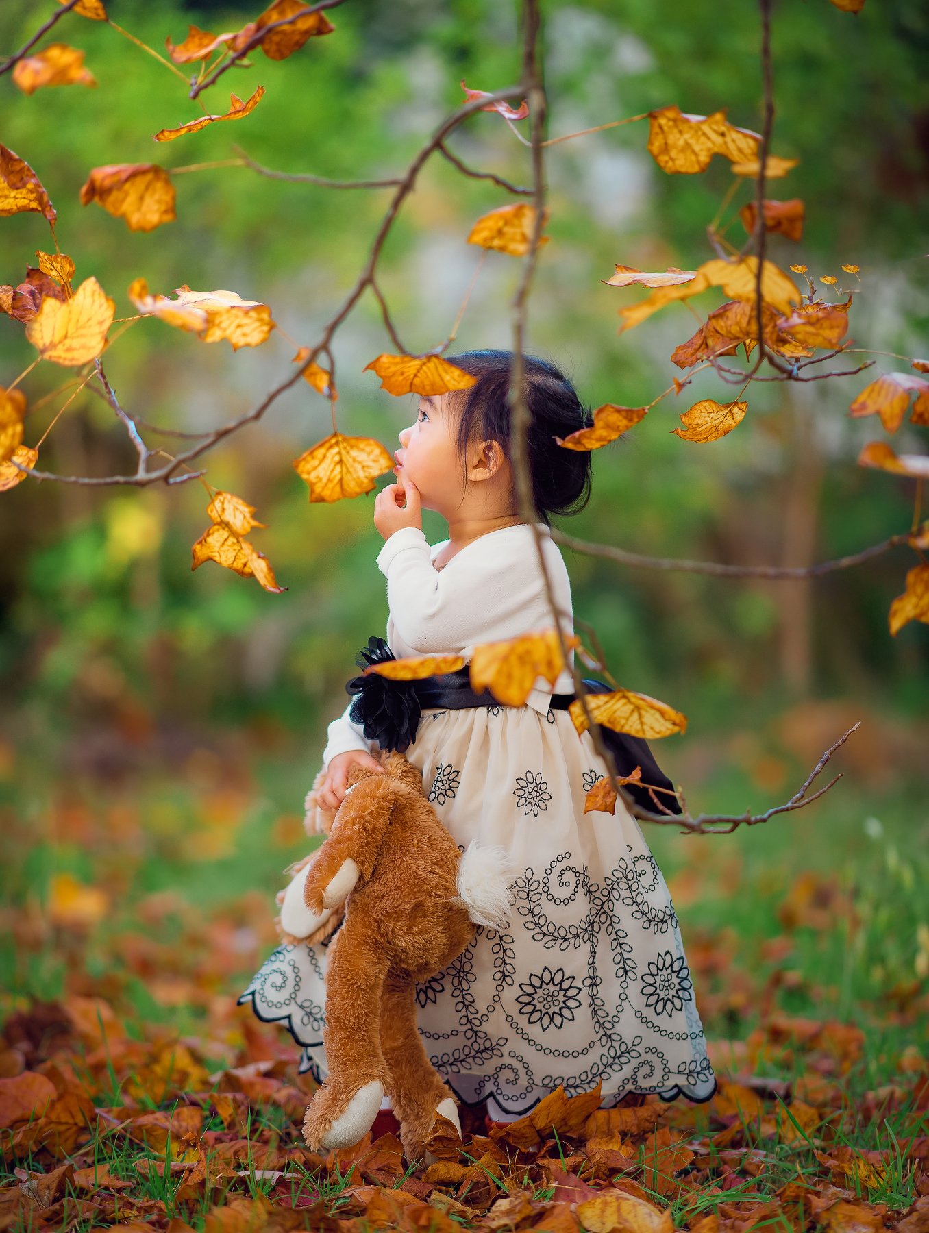 girl, kid, leaf, eyes, cute, curious, face, autumn, leaves, field, Derek Zhang