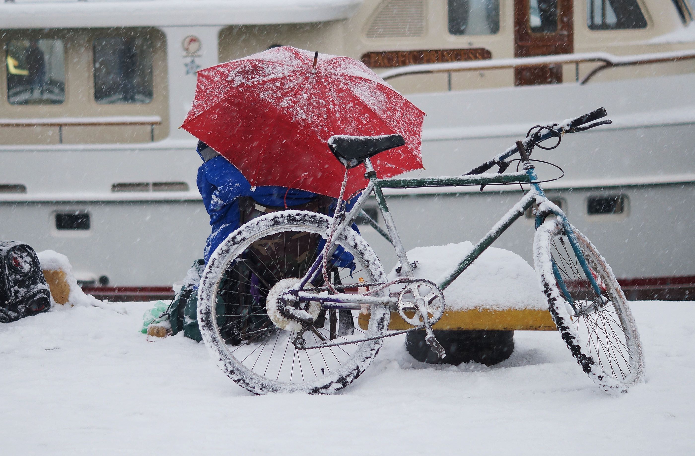 снег,зима,рыбалка,велосипед,зонт.Море,Сочи, Ольга Серёдкина