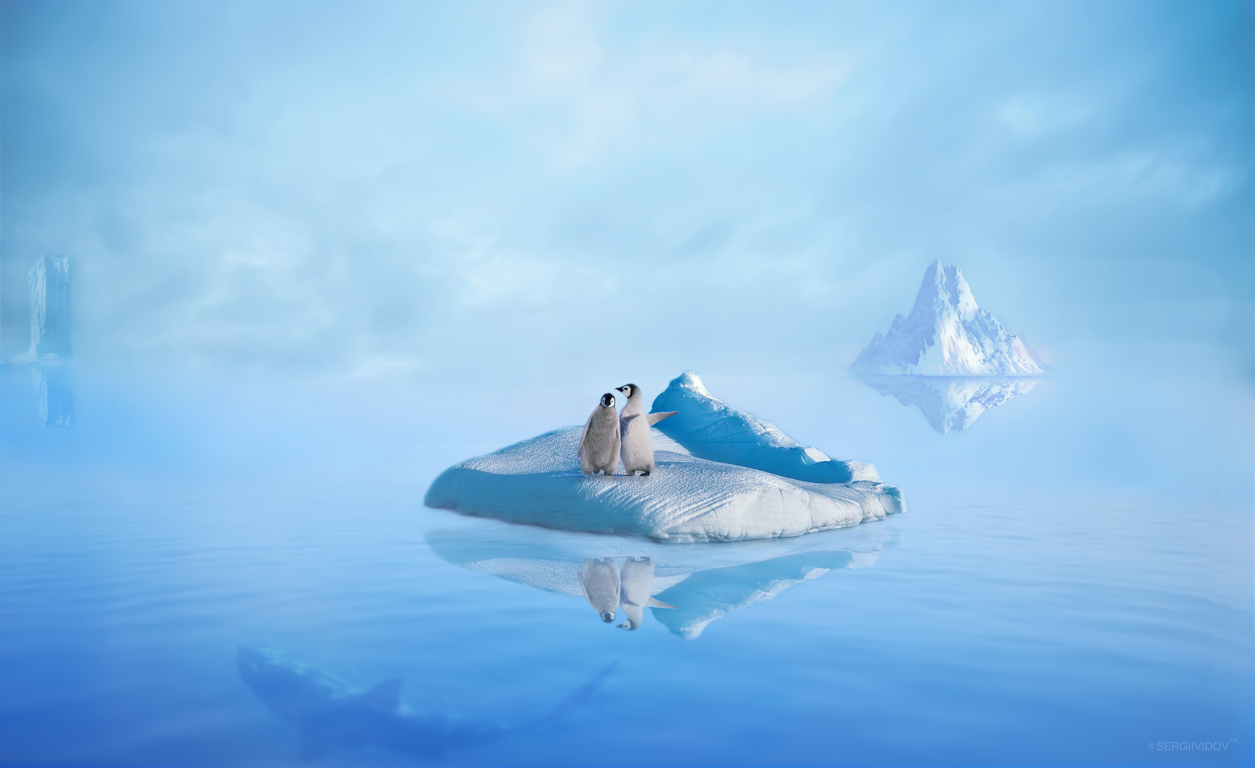 пингвины, айсберг, лед, пейзаж, акула, Sergii Vidov