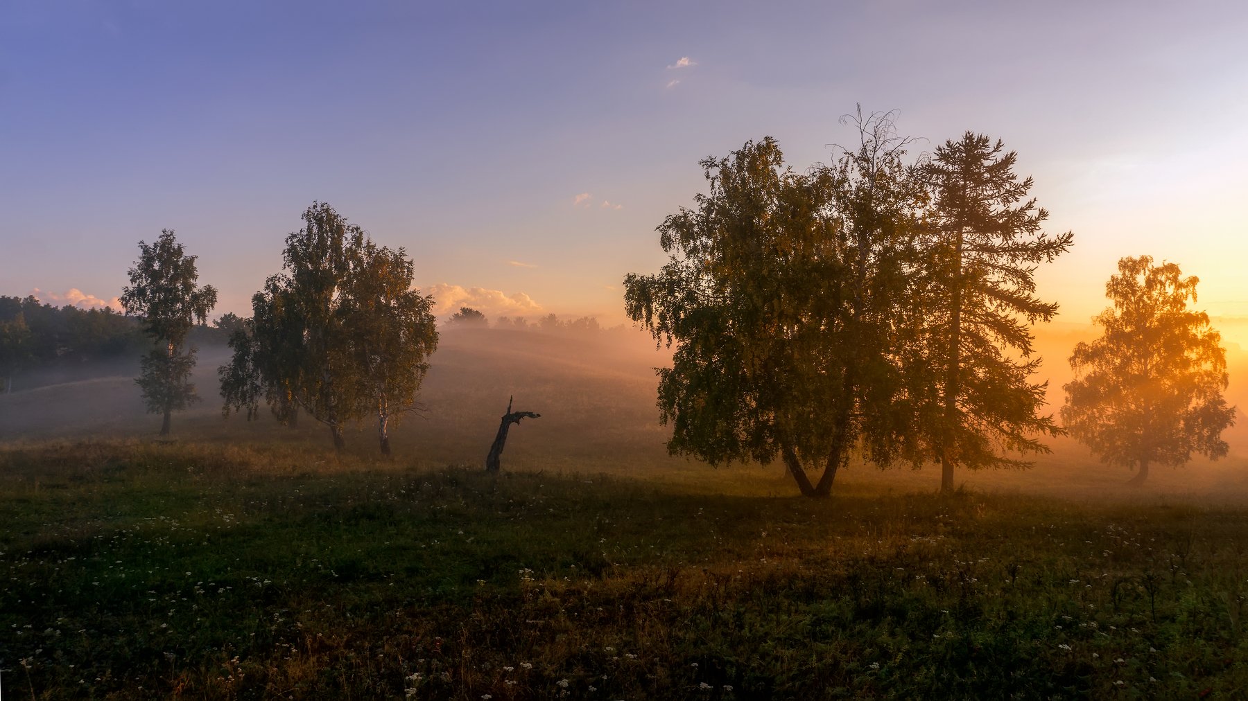 утро, рассвет, восход, туман, лучи, Леонид Максименко