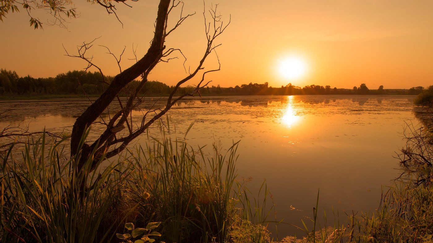 , Михаил Кушнер