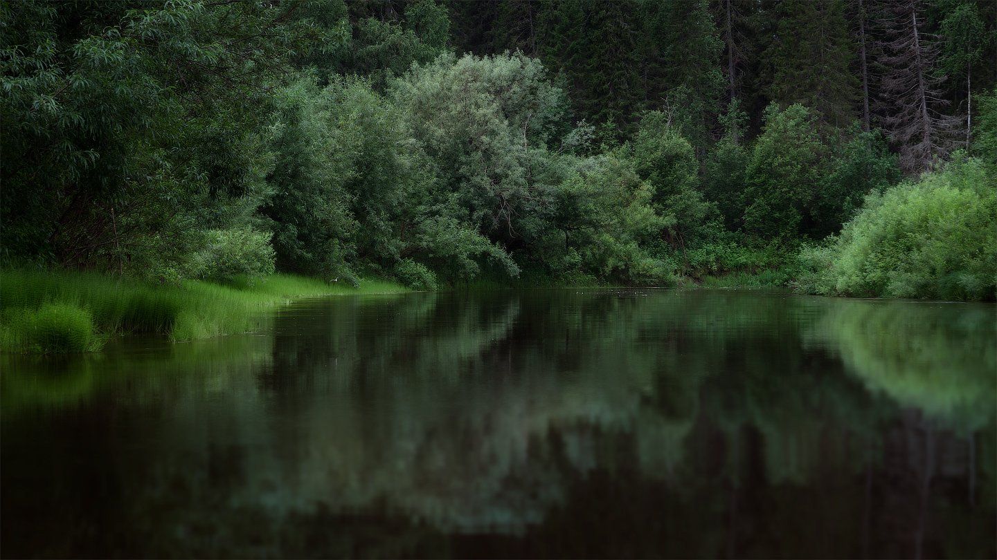 река, природа, пейзаж, Дмитрий Воронцов