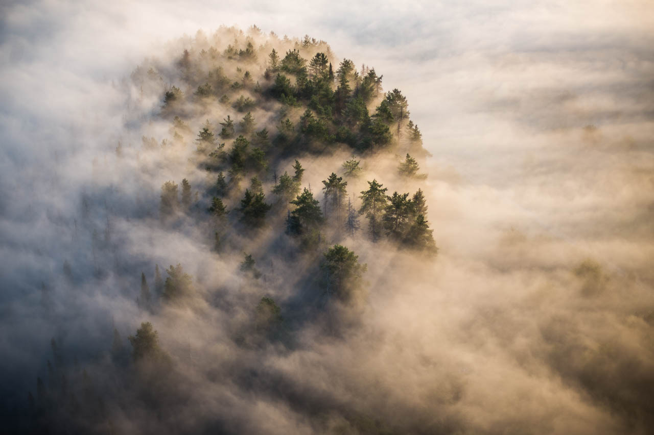 туман, пейзаж, лес, высота, облака, рассвет, Коровин Кирилл