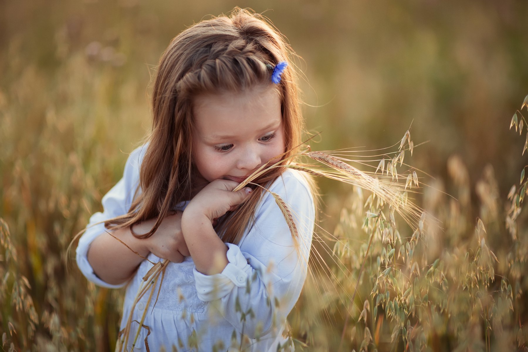 Девочка, овсяное поле, хлебное поле, малышка в хлебном поле, малышка с колосками, Светлана Новожилова